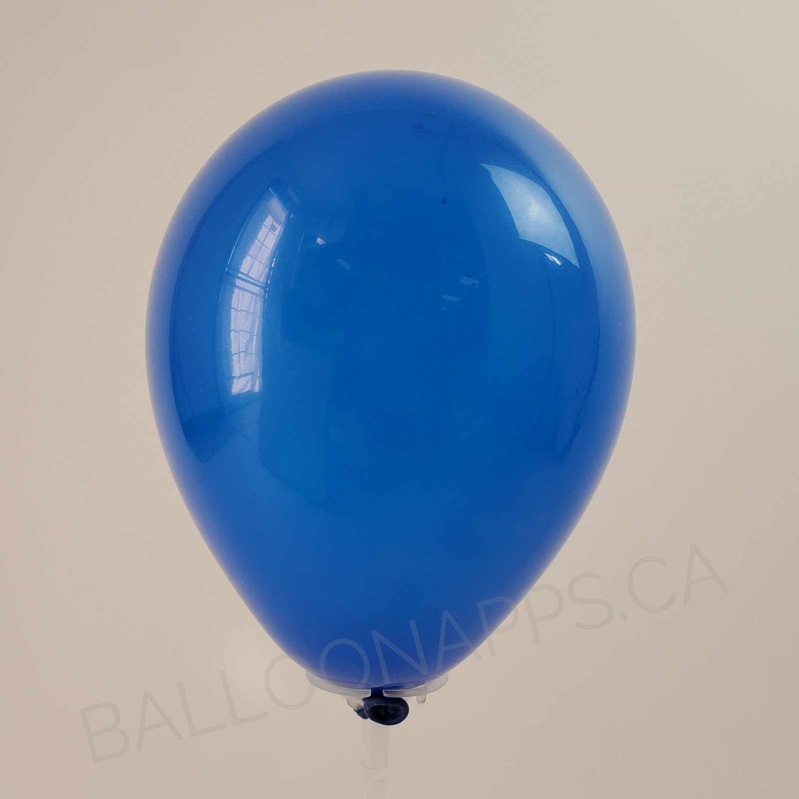 balloon texture SEM (50) 260 Fashion Royal Blue balloons