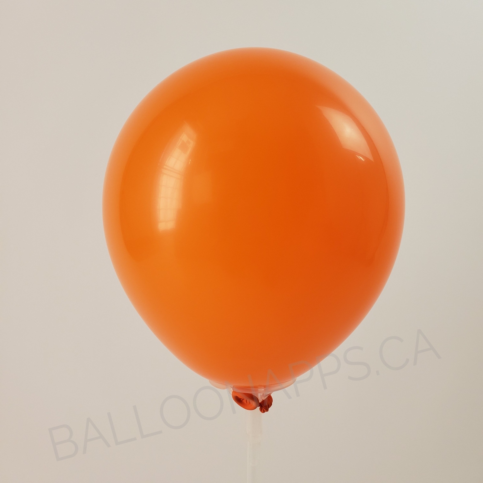 balloon texture SEM (100) 11