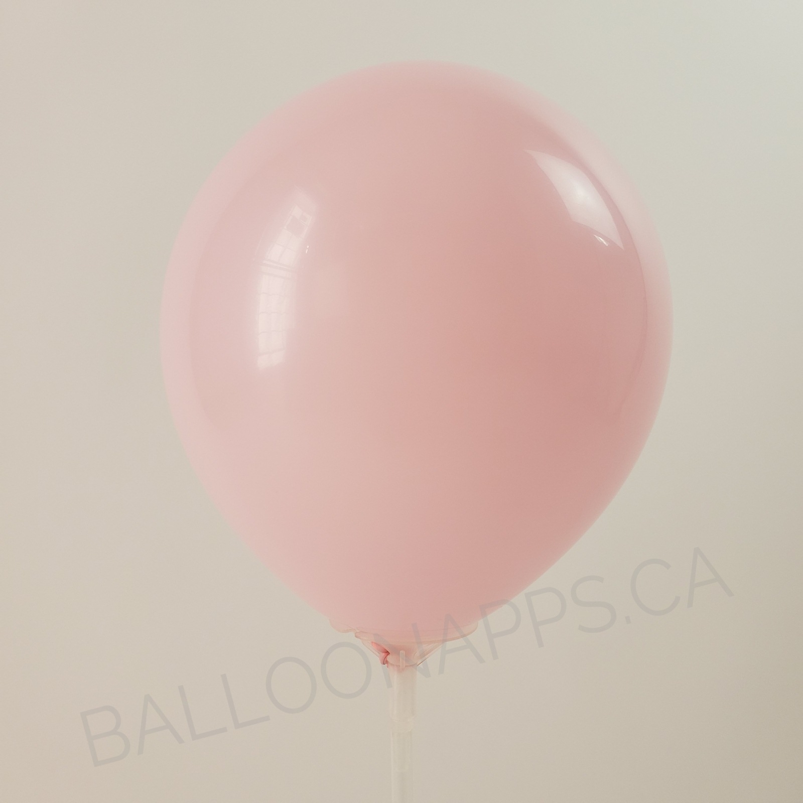 balloon texture SEM (25) 18