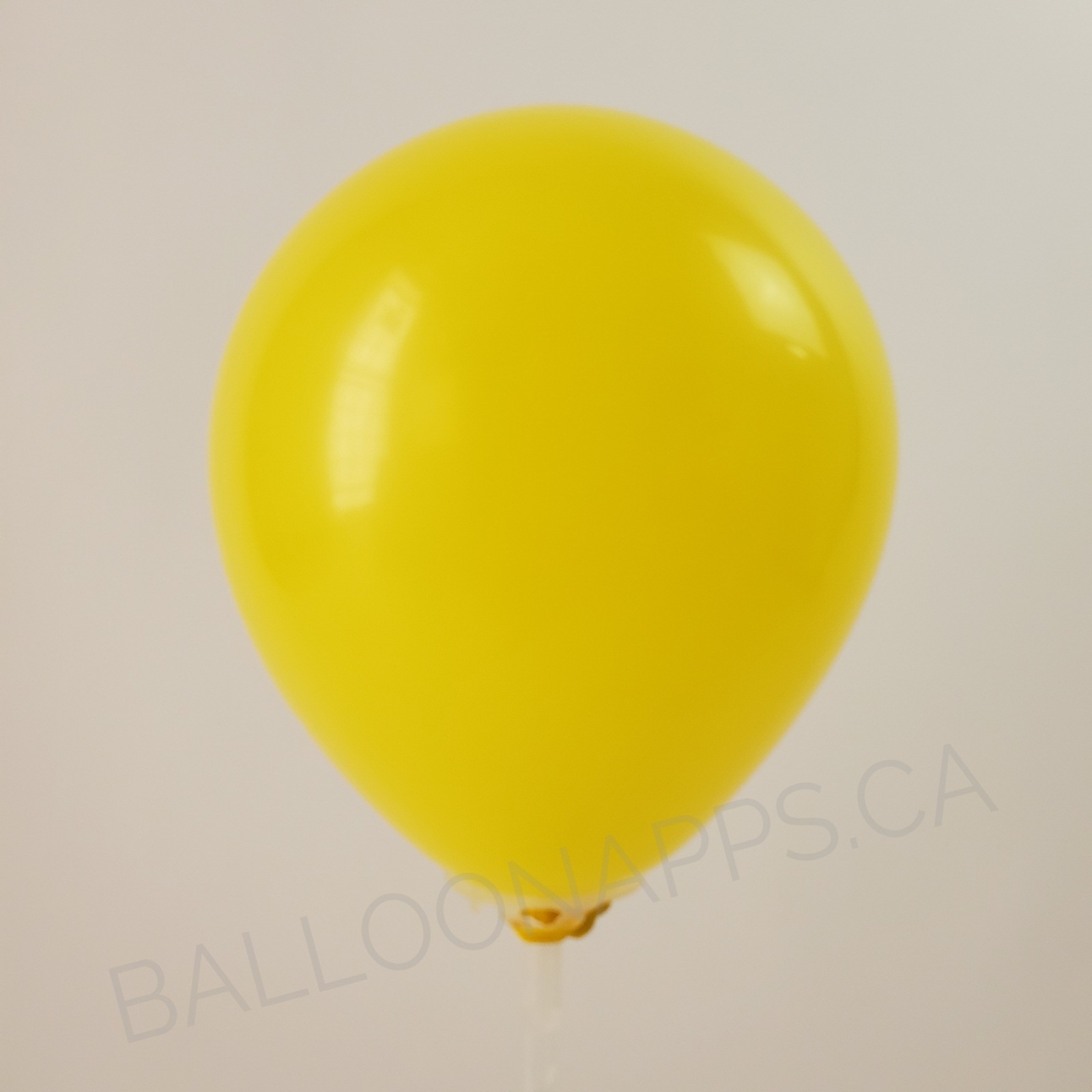 balloon texture SEM (100) 11