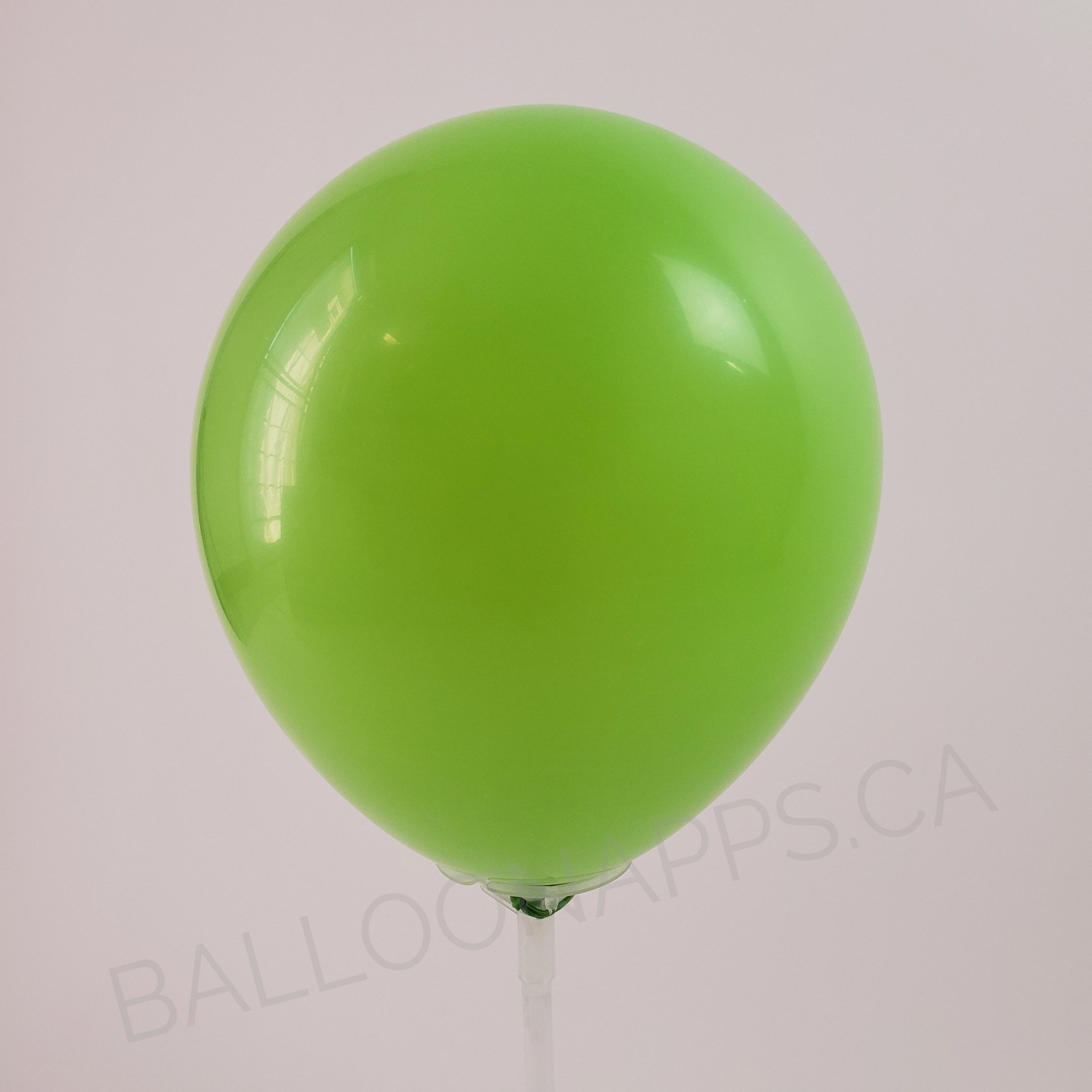 balloon texture SEM (50) 260 Deluxe Key Lime balloons