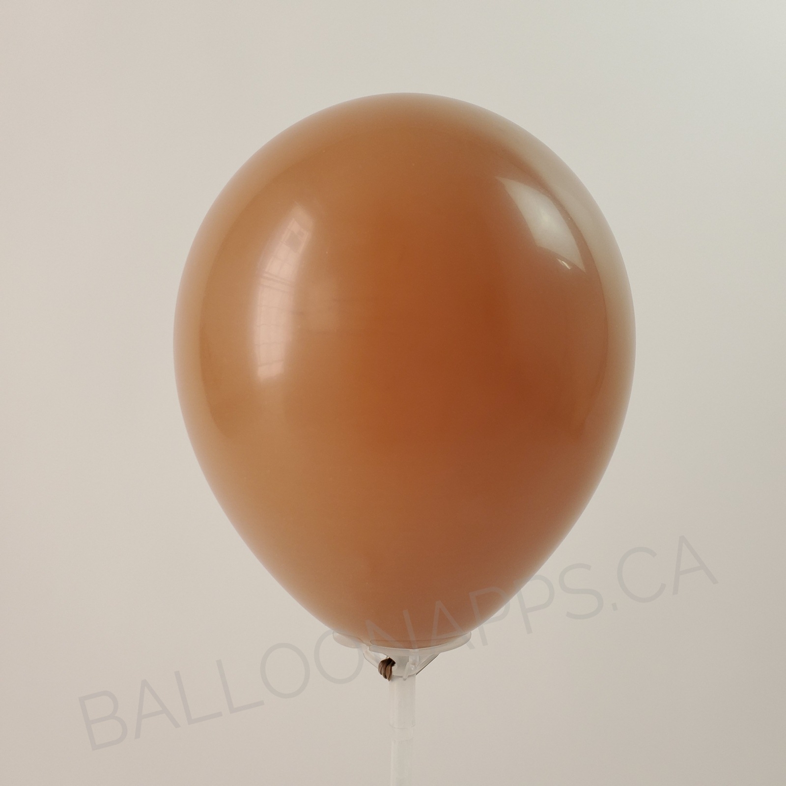 balloon texture SEM (50) 260 Deluxe Coffee balloons