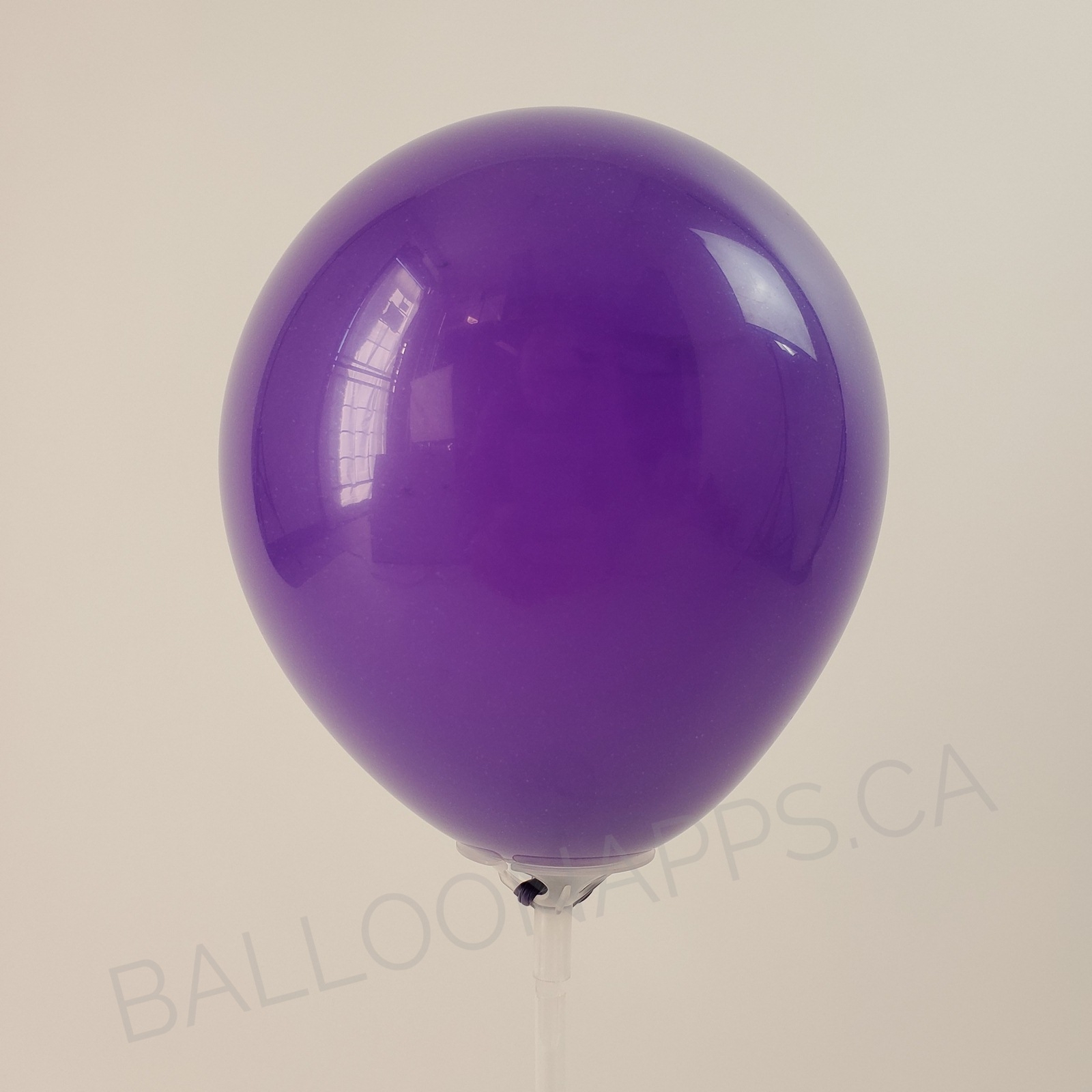 balloon texture SEM (100) 11