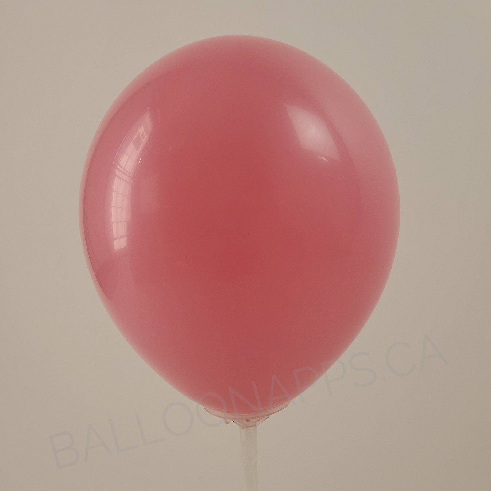 balloon texture GEMAR (100) 5