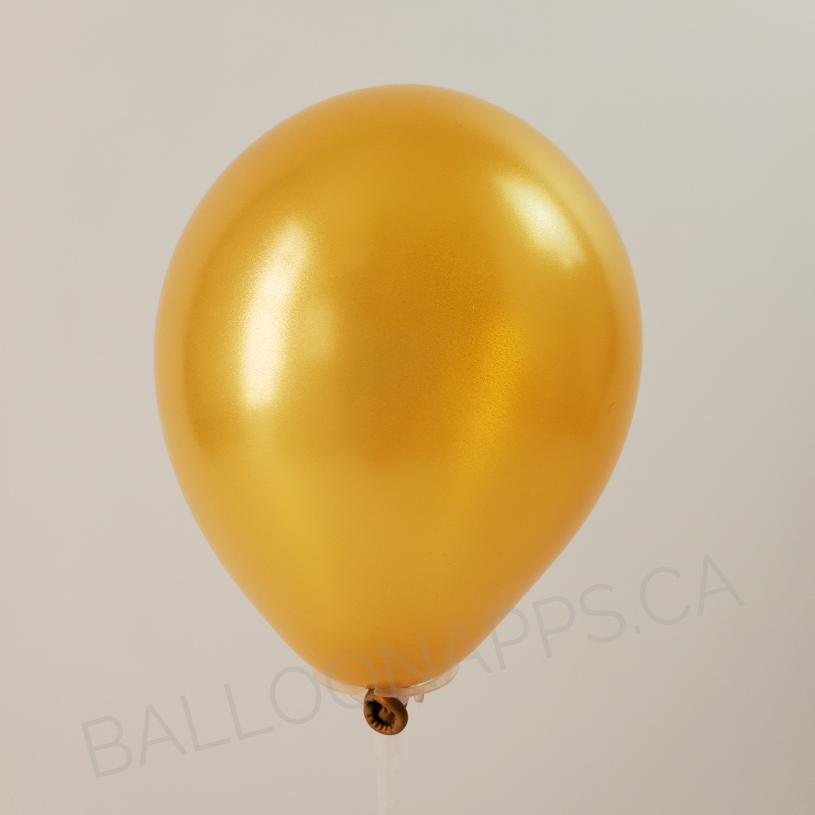 balloon texture SEM (100) 11