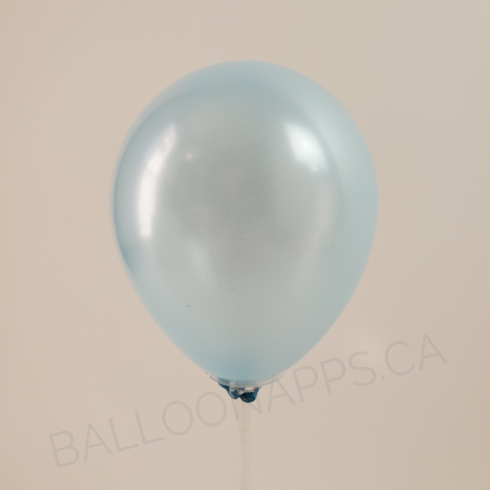 balloon texture SEM (100) 11