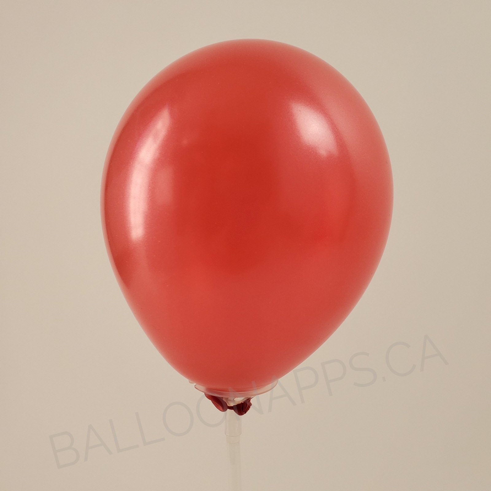 balloon texture SEM (100) 11