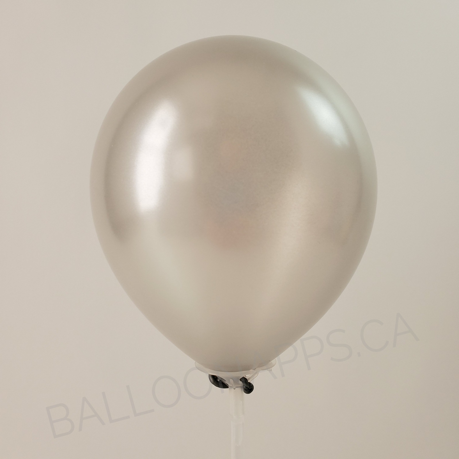 balloon texture SEM (50) 11