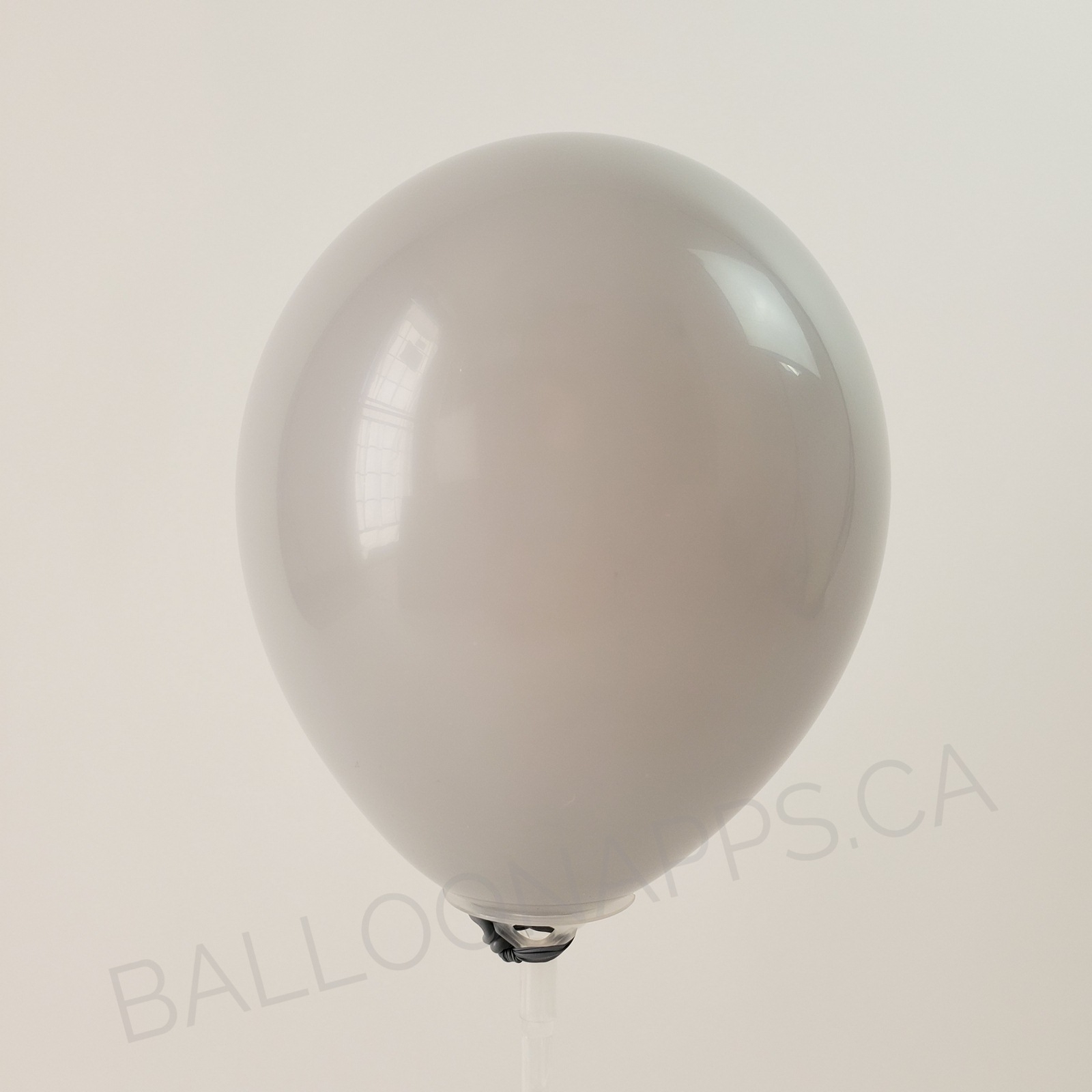 balloon texture SEM (100) 11