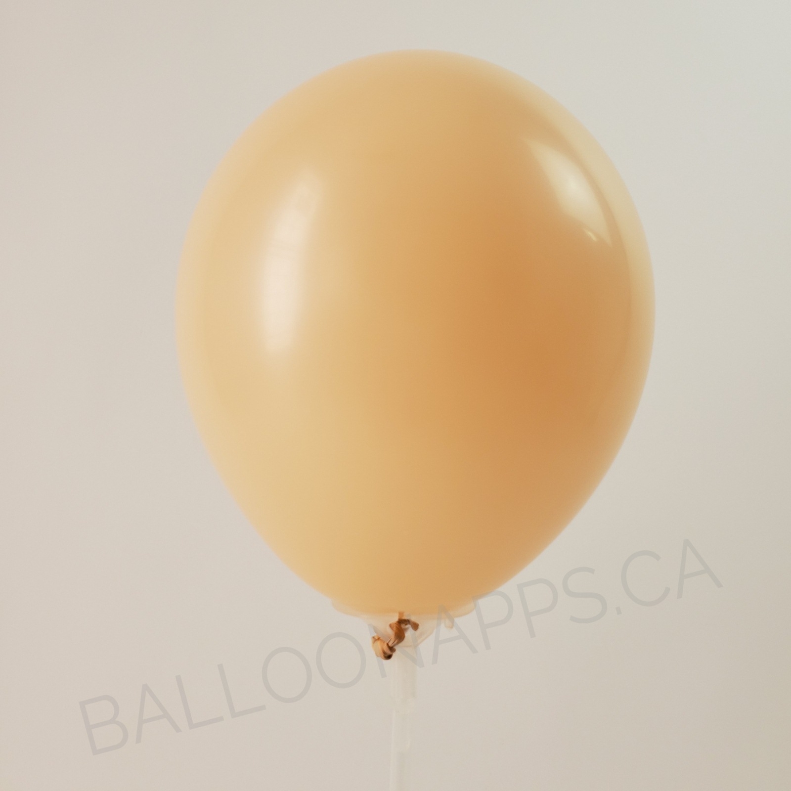 balloon texture BET (100) 11