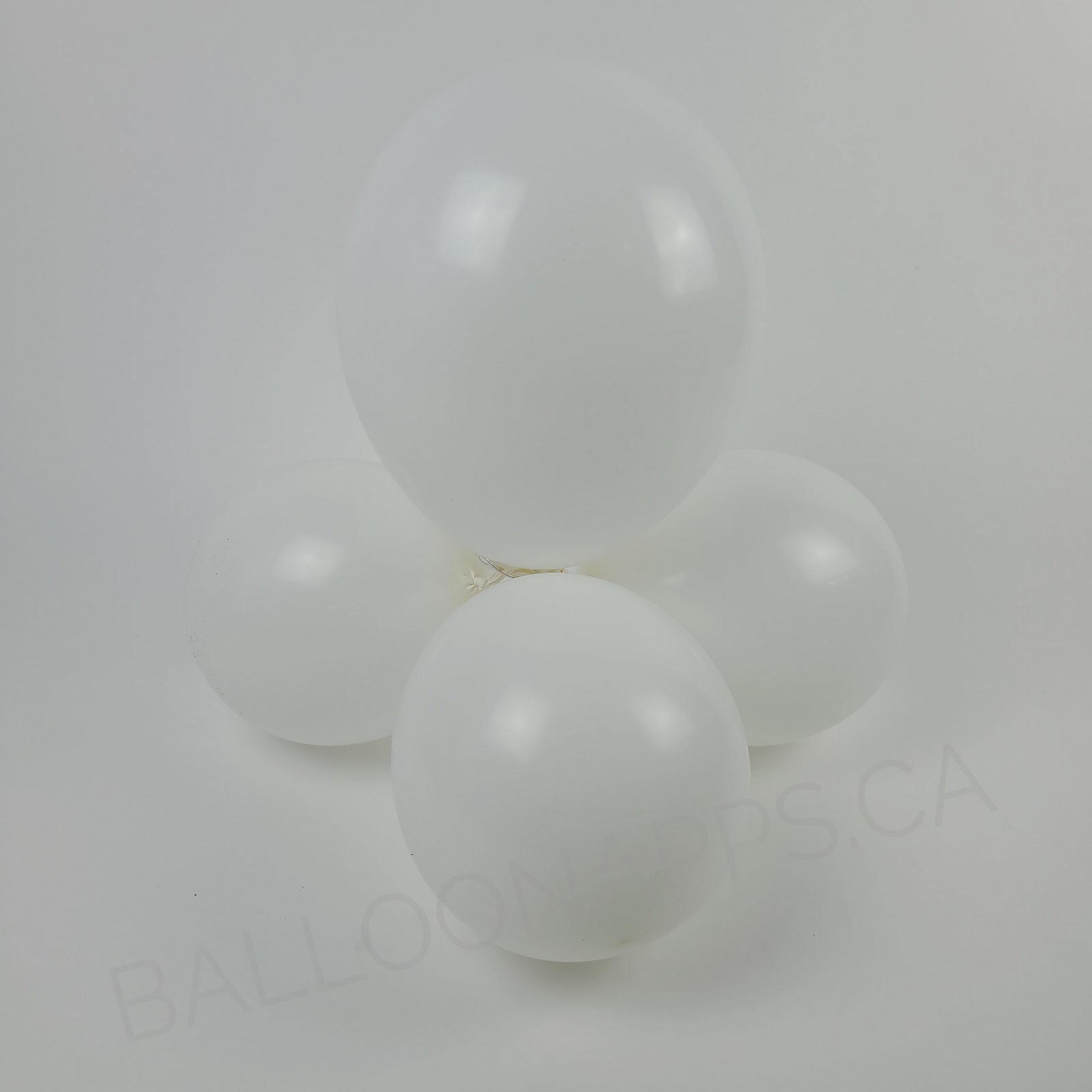 balloon texture SEM (1) 24