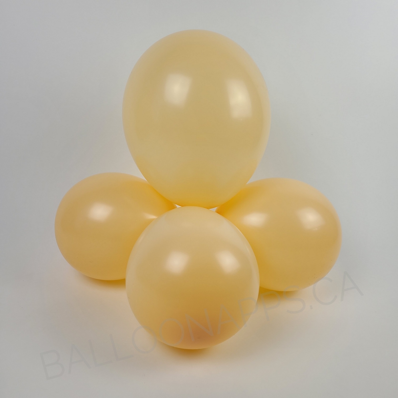 balloon texture BET (1) 24