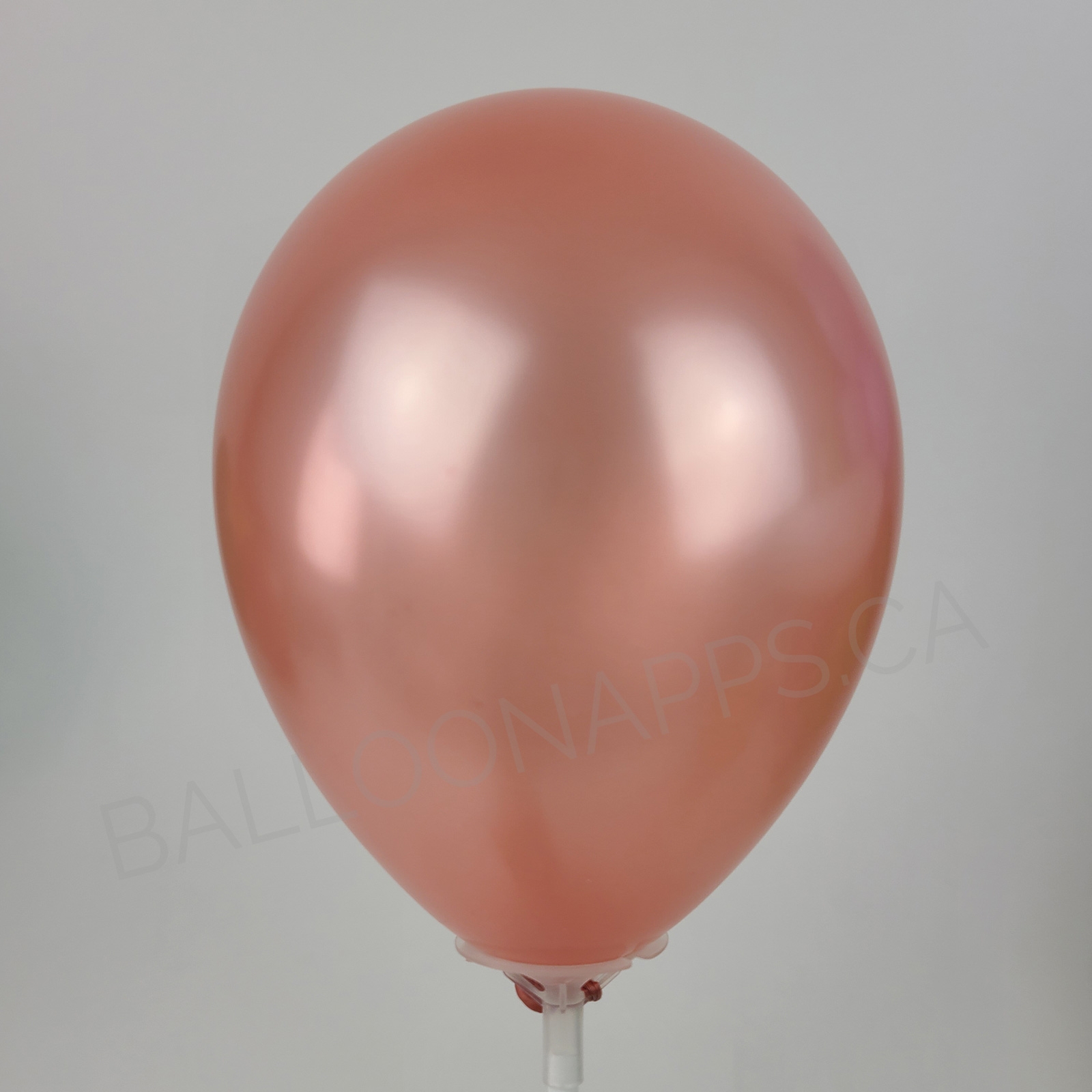 balloon texture SEM (25) 18