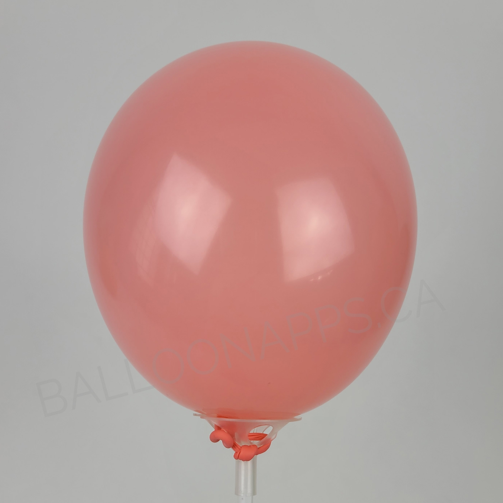 balloon texture Q (100) 11