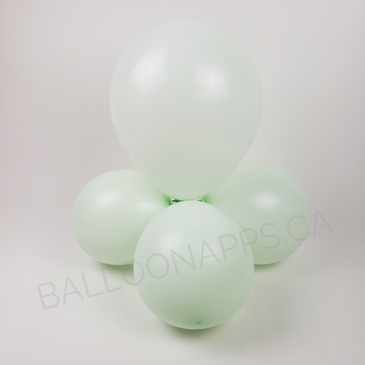 balloon texture SEM (100) 5