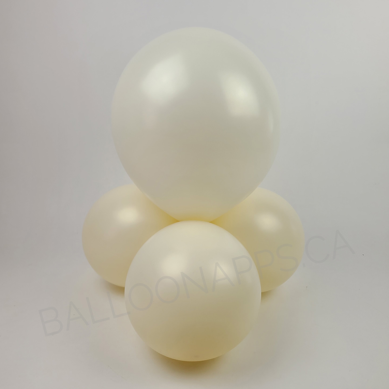 balloon texture SEM (100) 5