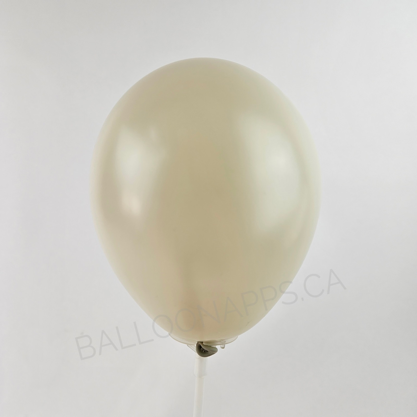 balloon texture SEM (100) 5