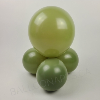 NEW ECONO   Eucalyptus balloons ECONO